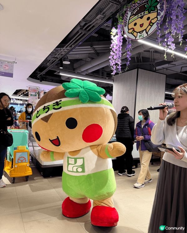 今日去咗Apita太古城店嘅「春の味覚」栃木縣物產展，今日有...