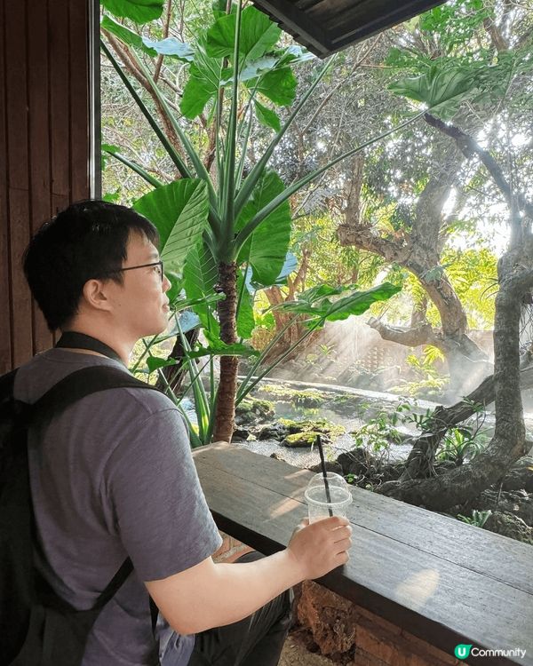 最近就到訪位於粉嶺嘅有機農莊，農莊內養殖新鮮有機嘅車厘茄，可...