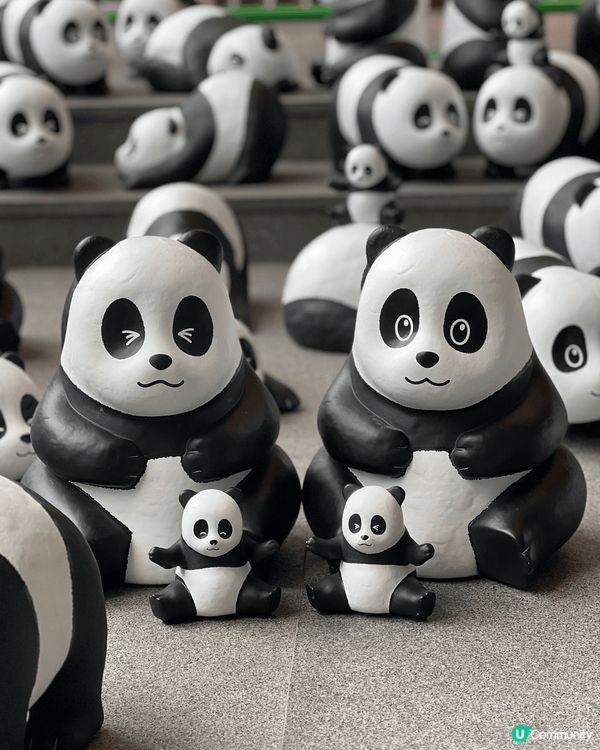 PANDA GO!嘅150大熊貓殺入香港立法會