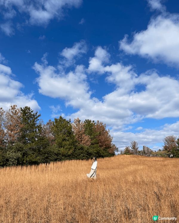 鹿兒島本來已經係好適合放鬆慢活嘅地方🦌估唔到喺市區搭船去櫻島...