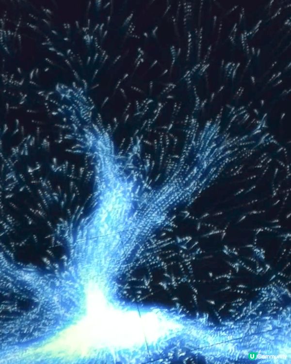 中電鐘樓文化館位處九龍亞皆老街,設於中電鐘樓內,聽到館長介紹...