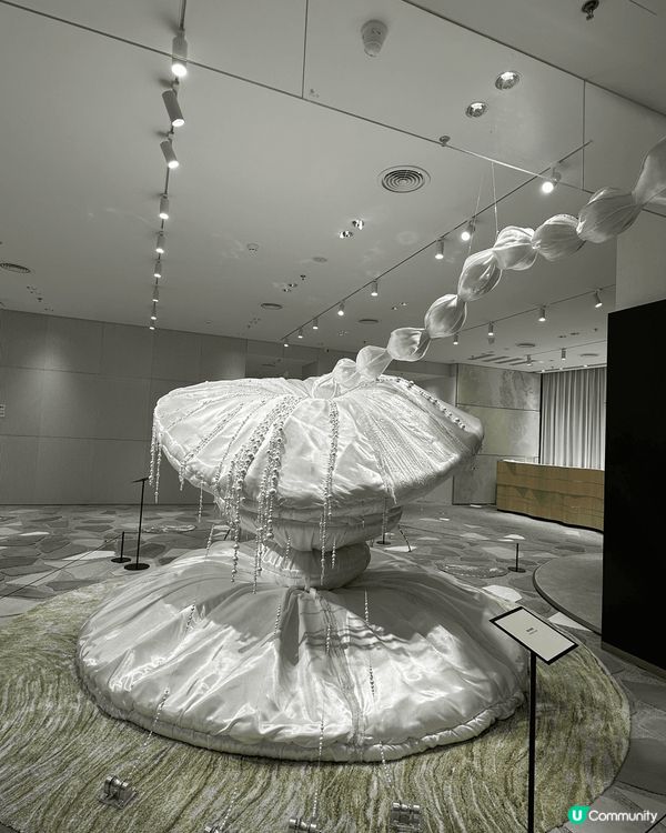 深圳打卡新地標！巨人展震撼登場！🤩