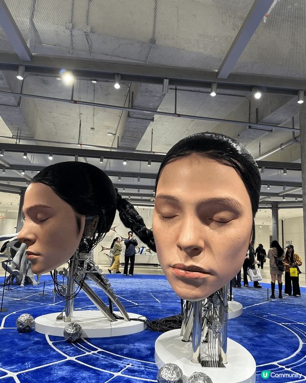 深圳打卡新地標！巨人展震撼登場！🤩