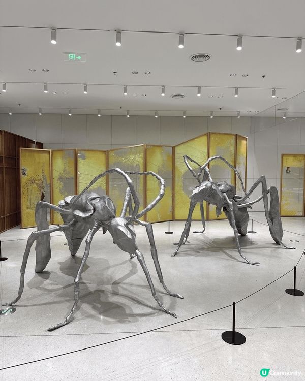 深圳打卡新地標！巨人展震撼登場！🤩