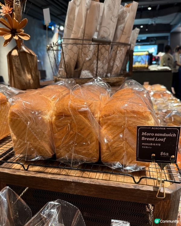 尖沙咀麵包戰場🔥 福岡過江龍🍞