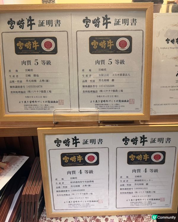 尖沙咀米芝蓮壽喜燒 🥩🥢 禪八日本料理，和牛控必試！