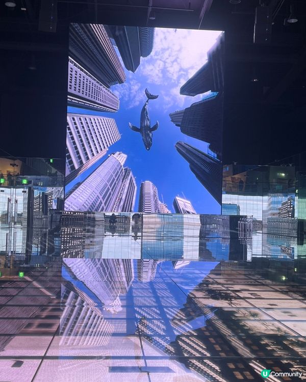 充滿彩色陽光之韓國釜山首爾之旅