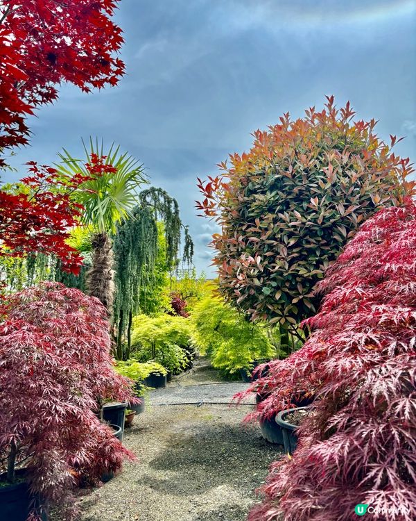 《瑞士旅遊安全建議》⛑️