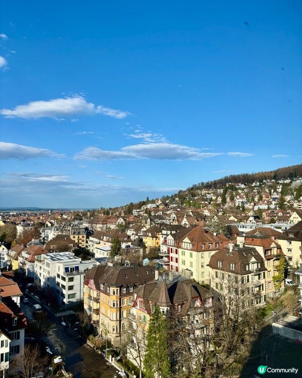 《瑞士人的職業道德》🇨🇭