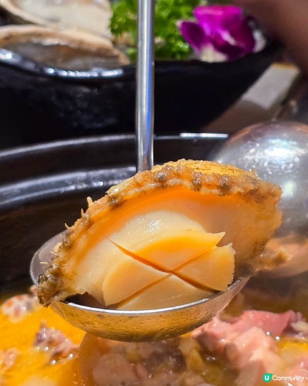 鮑螺萬侑·鮑魚雞火鍋