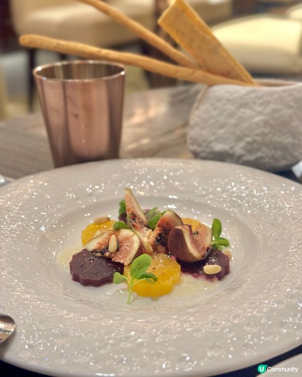 臥虎藏龍 金鐘世外桃源 - AMMO🌾🪻