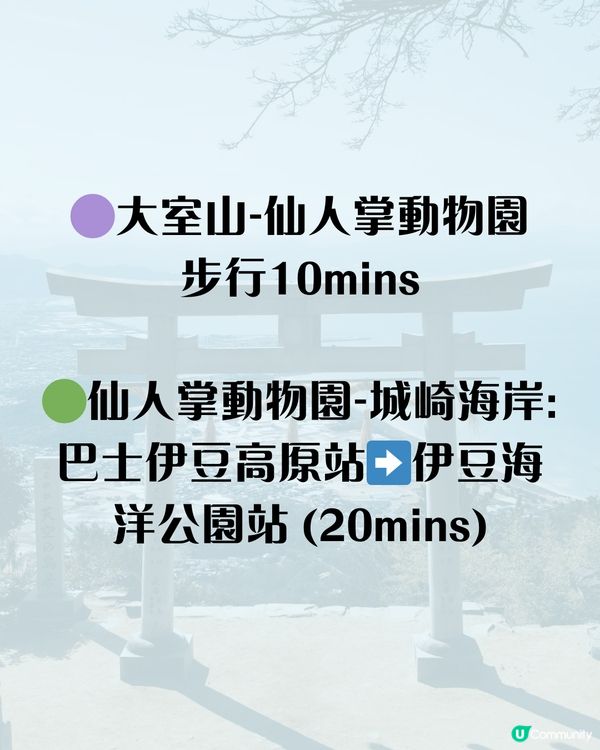 🗼靜岡伊豆三日兩夜行程 小丸子樂園/富士山最佳拍攝位/ 水豚溫泉♨️ 附交通路線‼️