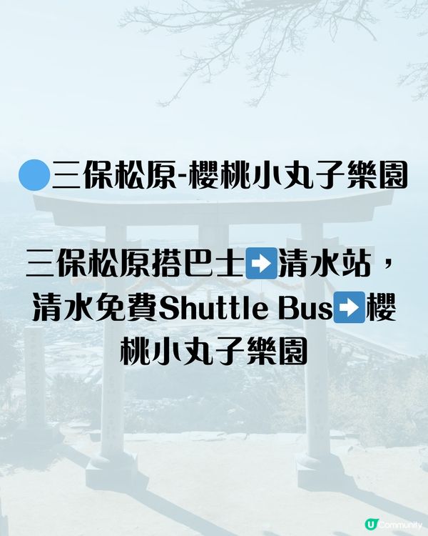 🗼靜岡伊豆三日兩夜行程 小丸子樂園/富士山最佳拍攝位/ 水豚溫泉♨️ 附交通路線‼️