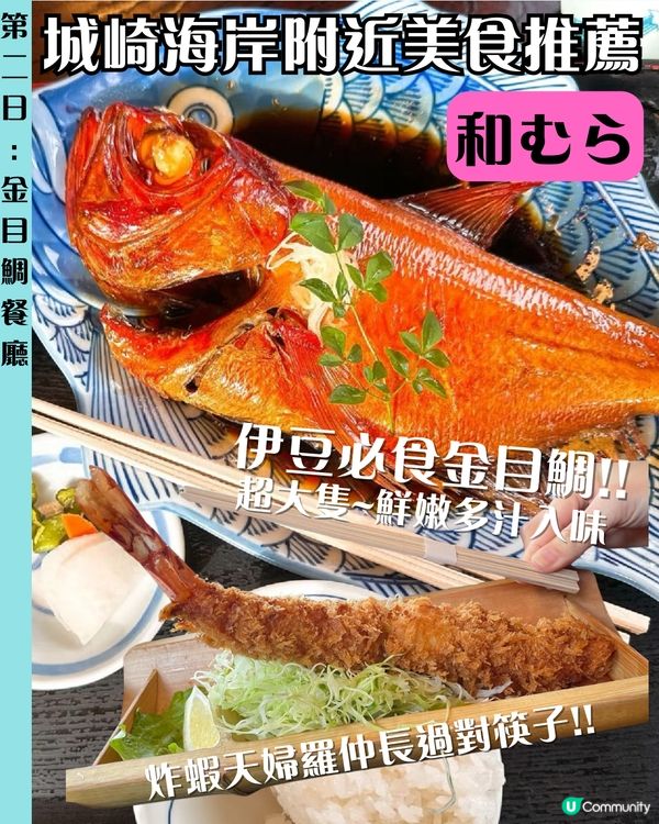 🗼靜岡伊豆三日兩夜行程 小丸子樂園/富士山最佳拍攝位/ 水豚溫泉♨️ 附交通路線‼️