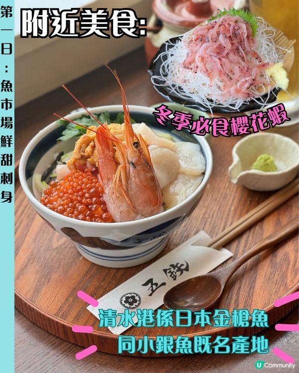 🗼靜岡伊豆三日兩夜行程 小丸子樂園/富士山最佳拍攝位/ 水豚溫泉♨️ 附交通路線‼️