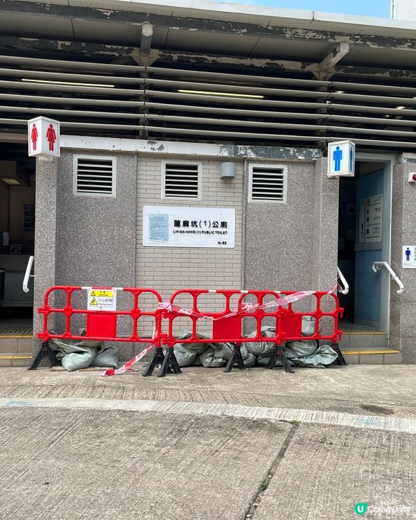 ## 蓮麻坑壙洞🚶‍♀️輕鬆去！🤩