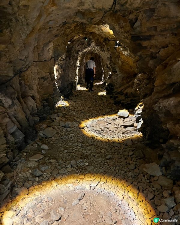 ## 蓮麻坑壙洞🚶‍♀️輕鬆去！🤩