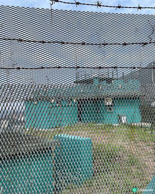 ## 蓮麻坑壙洞🚶‍♀️輕鬆去！🤩