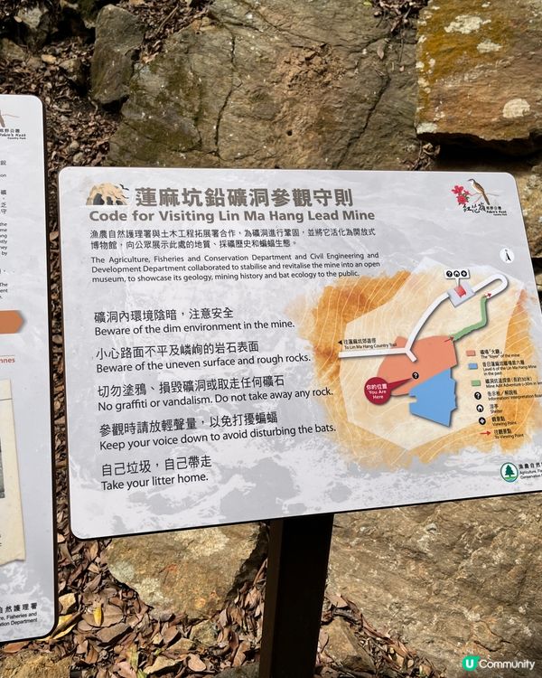 ## 蓮麻坑壙洞🚶‍♀️輕鬆去！🤩