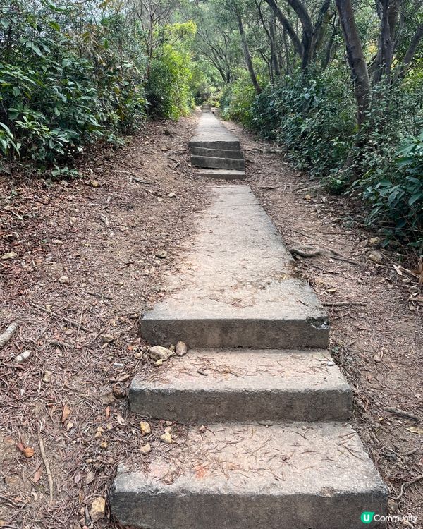 ## 蓮麻坑壙洞🚶‍♀️輕鬆去！🤩