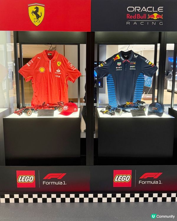 ⭐️ #F1迷+ #小車迷+ #LEGO粉 Adrian 大...