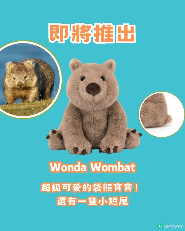 Jellycat又出新品😍9款新公仔一次看‼️皺眉老虎狗/酸種麵包/垂耳大象你最愛邊款？
