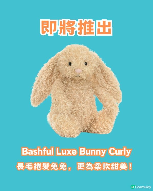 Jellycat又出新品😍9款新公仔一次看‼️皺眉老虎狗/酸種麵包/垂耳大象你最愛邊款？