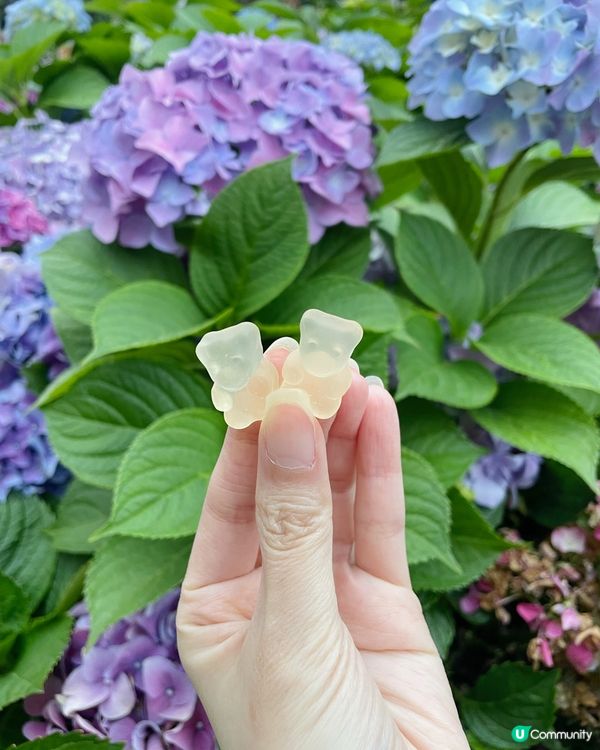 UNICHI小熊煙酰胺美白軟糖