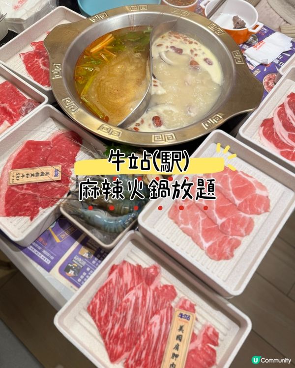 台式火鍋有任食大頭蝦🦐