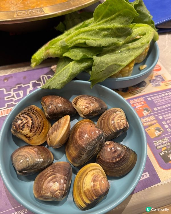 台式火鍋有任食大頭蝦🦐