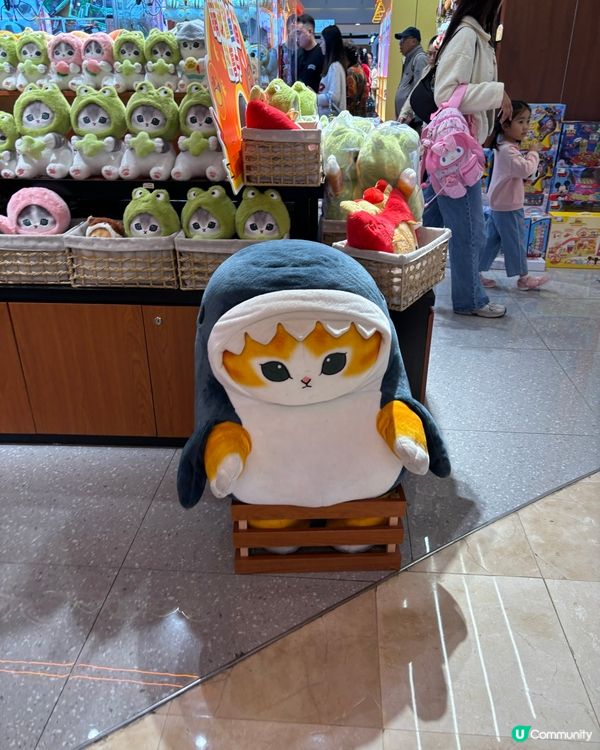 深圳夾公仔之志在必得?!?