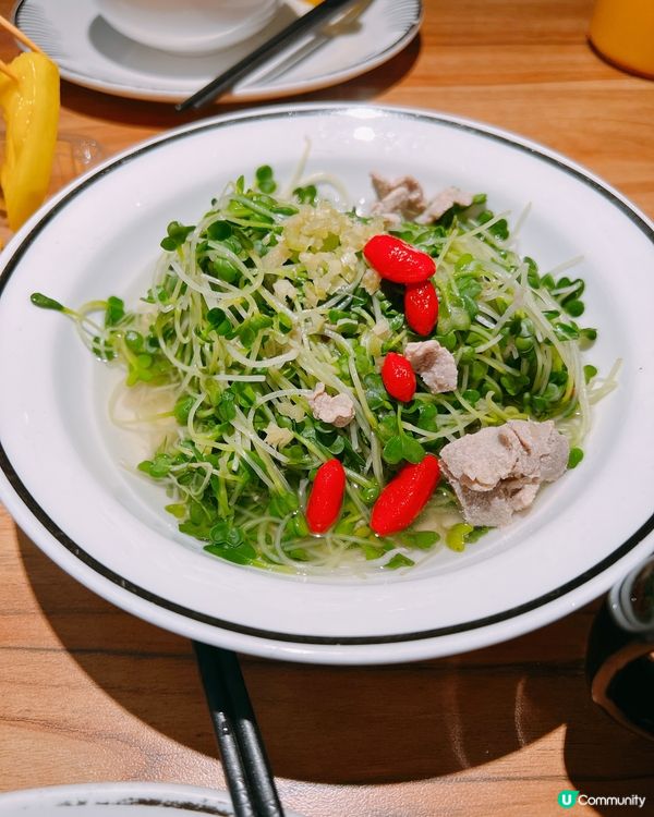 深圳最好吃的酸菜魚！酸辣控必食，豆苗配陳皮洛神花茶解膩一流🤤