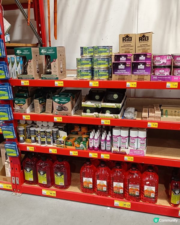 [西澳逃生篇❓‼️] 