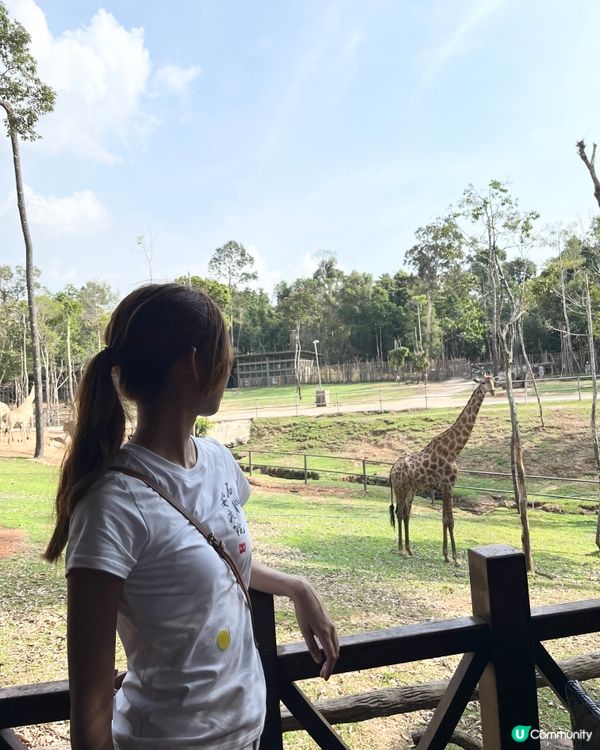 富國島動物園！