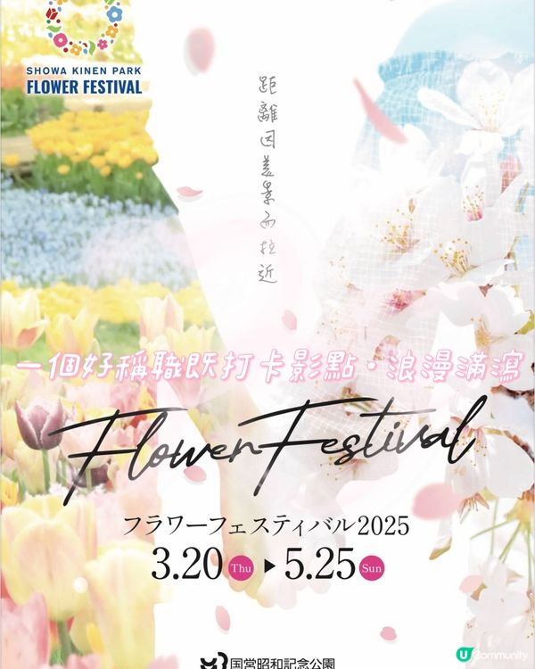 來一場浪漫春日之旅💕打卡位滿滿📸