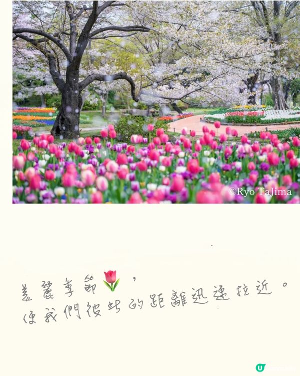 來一場浪漫春日之旅💕打卡位滿滿📸