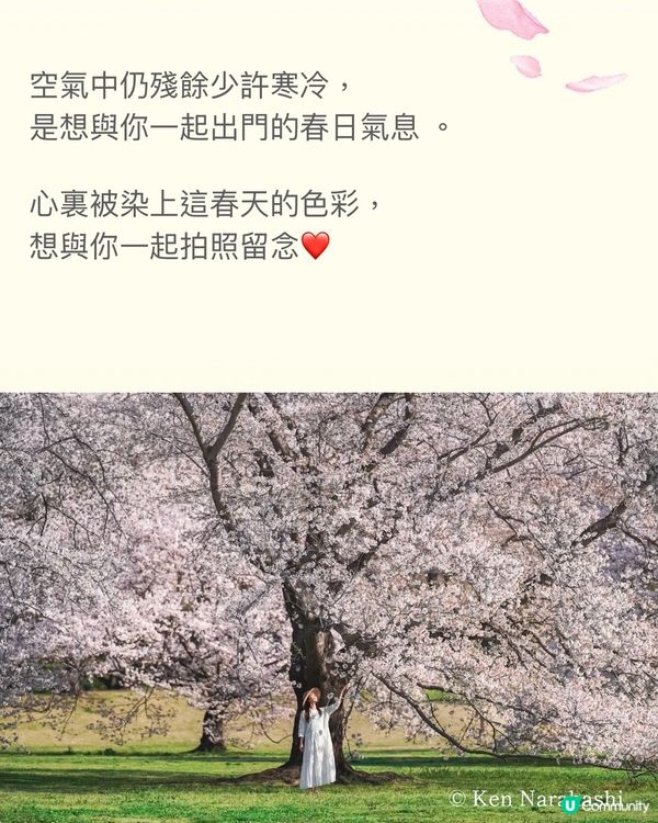 來一場浪漫春日之旅💕打卡位滿滿📸