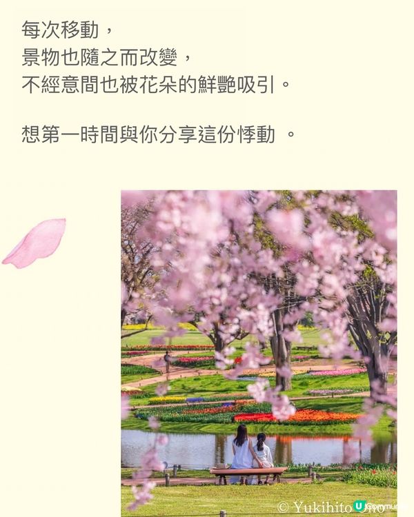 來一場浪漫春日之旅💕打卡位滿滿📸