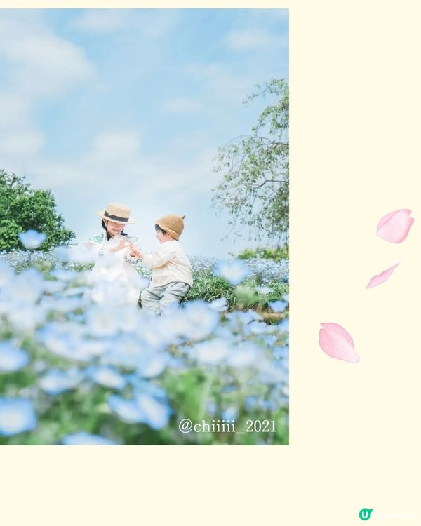 來一場浪漫春日之旅💕打卡位滿滿📸