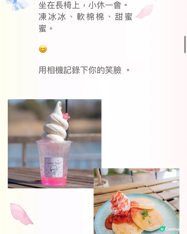 來一場浪漫春日之旅💕打卡位滿滿📸