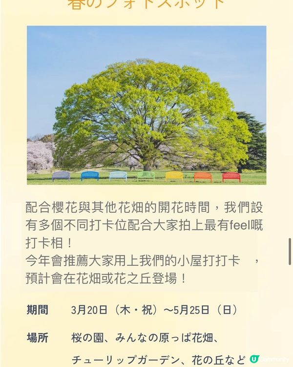 來一場浪漫春日之旅💕打卡位滿滿📸