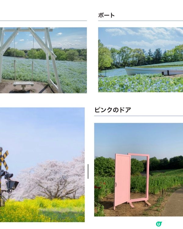 來一場浪漫春日之旅💕打卡位滿滿📸