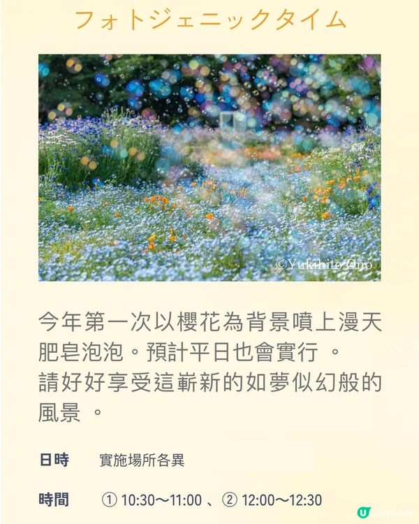 來一場浪漫春日之旅💕打卡位滿滿📸