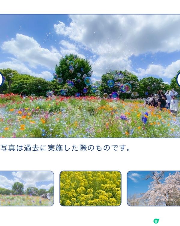 來一場浪漫春日之旅💕打卡位滿滿📸