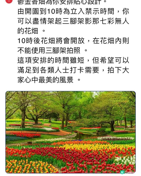 來一場浪漫春日之旅💕打卡位滿滿📸