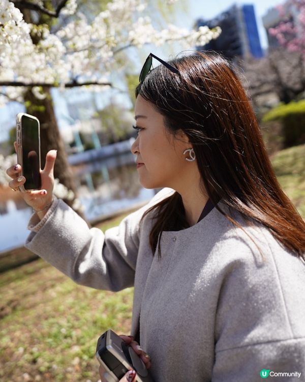 上野恩賜公園🌸賞櫻攻略！