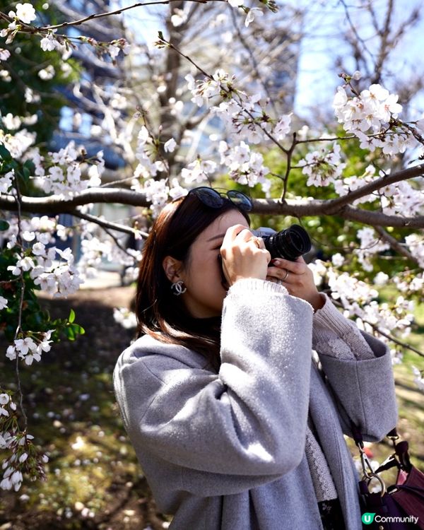 上野恩賜公園🌸賞櫻攻略！