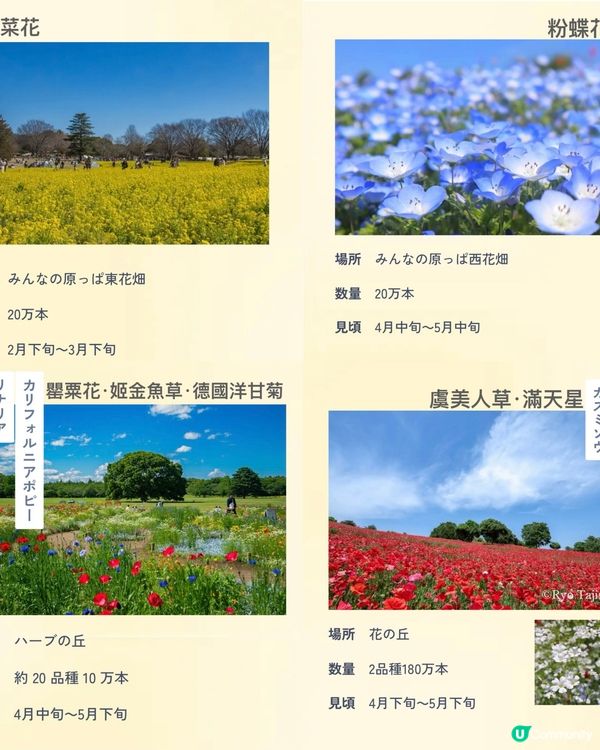 來一場浪漫春日之旅💕打卡位滿滿📸