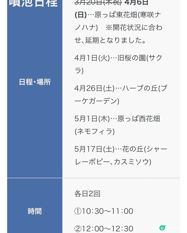 來一場浪漫春日之旅💕打卡位滿滿📸