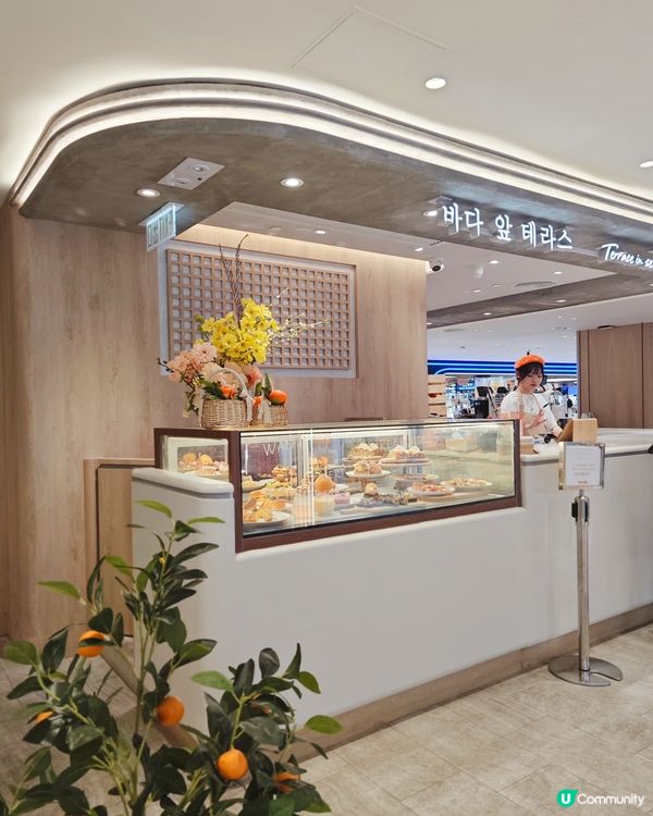 在沙田吃Dinner 想起了韓式Cafe ｢Terrace ...